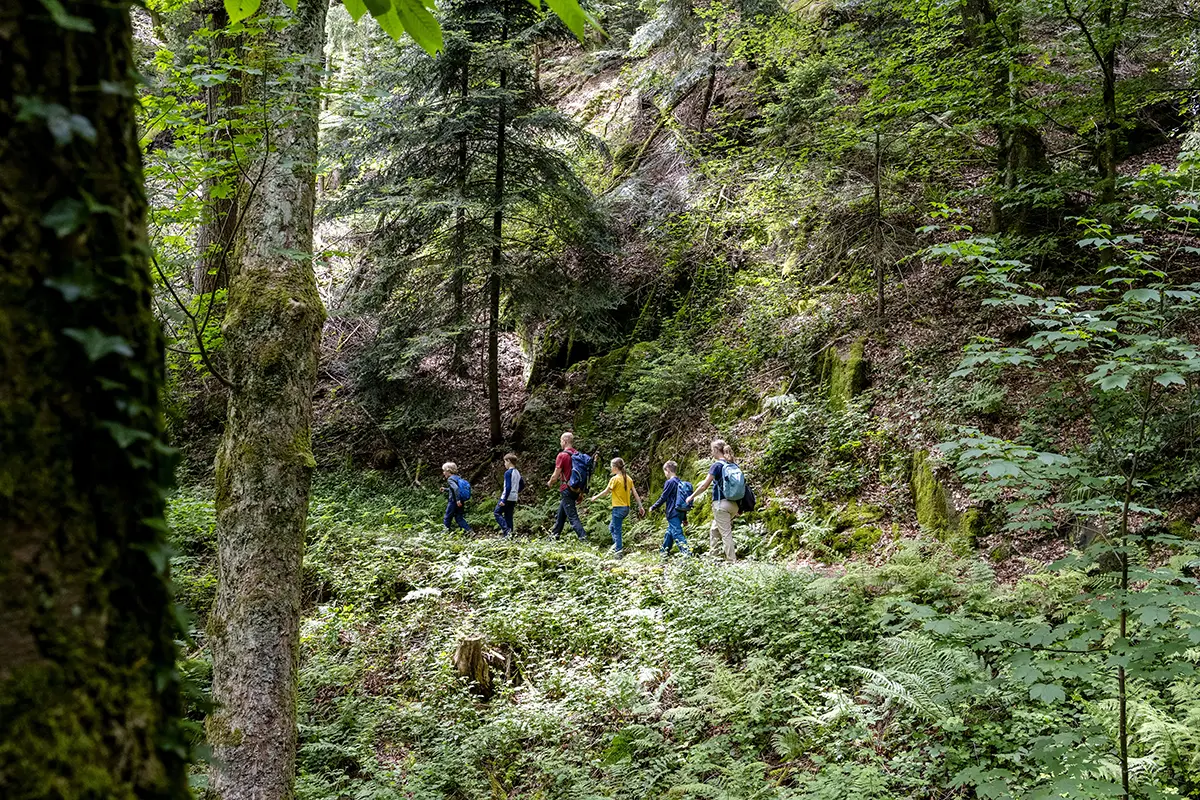 Auf dem Gernsbacher Sagenweg © TMBW/Gregor Lengler